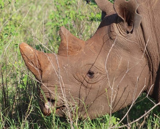 4 Days 3 Nights Safari